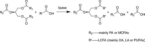 Enzymatic Acidolysis For The Synthesis Of Hmfs Download Scientific