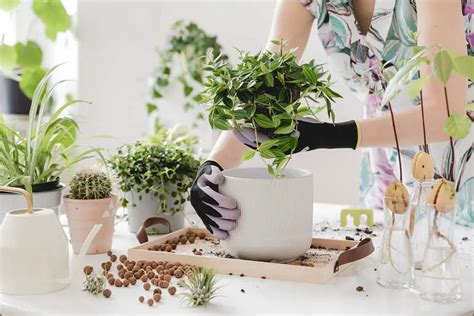 Indoor Gardening: 10 Must-Have High-Tech Tools - Noobie