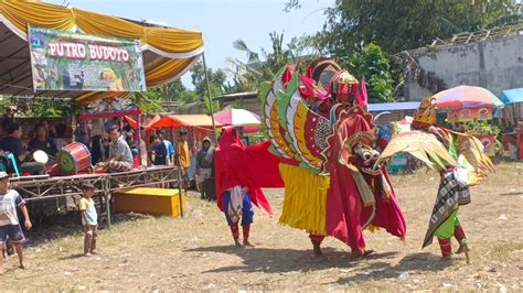 Atraksi Barong Prejeng Jaranan Putro Budoyo Ketapang Live