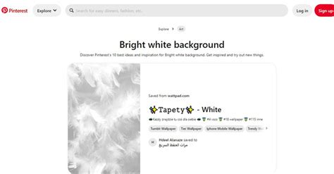 Top 7 Sites to Download Plain White Background for Your Projects