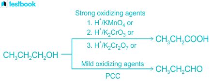 Propanol: Know its Structure, Preparation, Properties and Uses