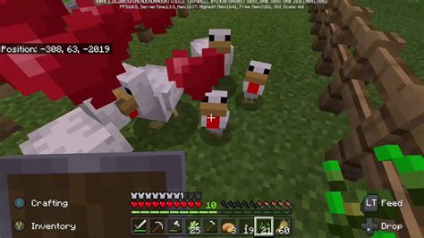 Quadruple Chicken Eggminecraft Youtube