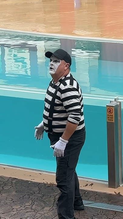 What 🤣😂 Tom Mime Seaworld Good Vibes Seaworldmime Funny Shorts