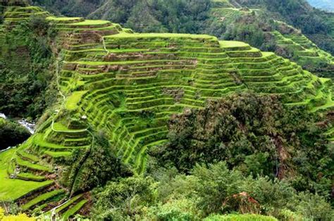 UNESCO World Heritage Centre Document Rice Terraces Of The