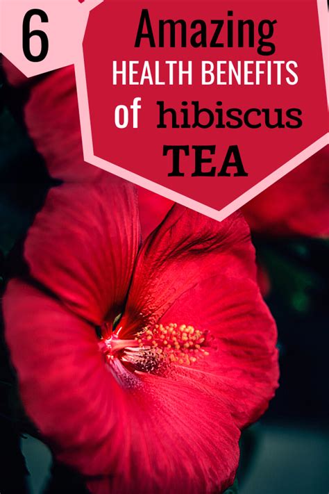 Benefits Of Hibiscus Tea Artofit