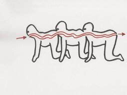 The Human Centipede (surgery) | The Human Centipede Wiki | Fandom