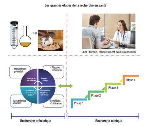 La Recherche Scientifique Tudes Vs Qualit Article De Vitoli