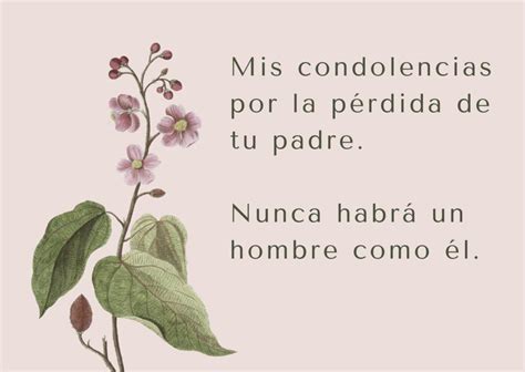 100 Frases De Condolencias Por Una Perdida Cortas