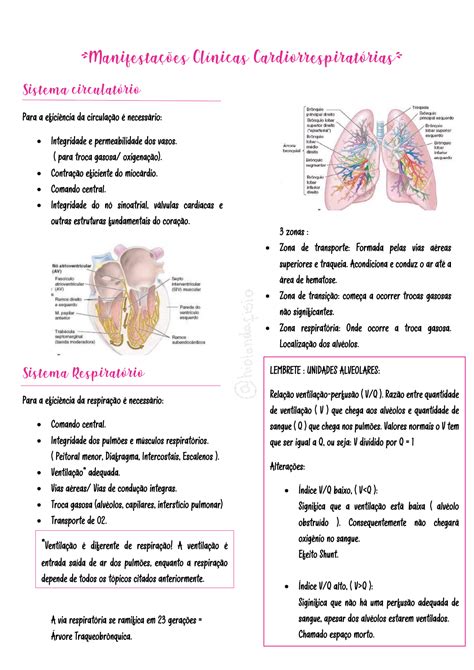 Manifesta Es Cardiorrespirat Rias Sistema Cardiorrespirat Rio