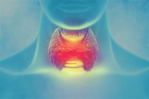 T4 Test | What is a T4 Test (thyroid disease)? - My Labs For Life