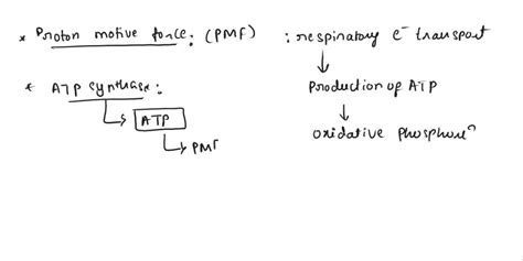 SOLVED: The electron transport system in bacteria involves: a proton ...