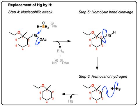 The Membered Ring In Alkene Halogenation Oxymercuration More