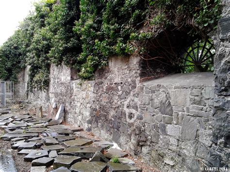 Ireland In Ruins: St Kevins Church Co Dublin