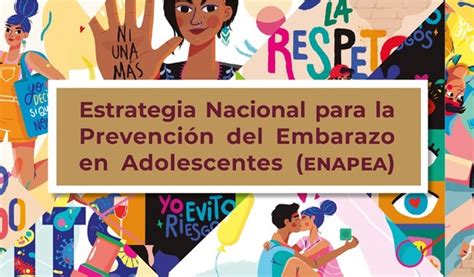 Cisnna Aprueba Estrategias Para Prevenir Embarazos Tempranos En Niñas Y