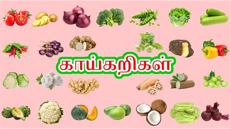 கயகறகள Learn Vegetable Names in Tamil and English Vellai Mayil