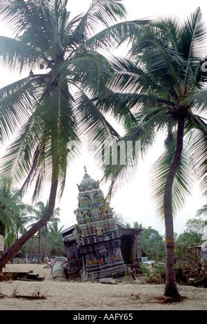 Images from the aftermath of the boxing day tsunami in Sri Lanka on the ...