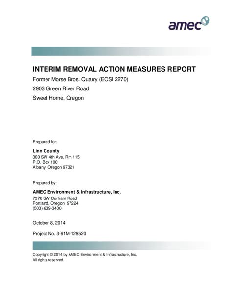 Fillable Online INTERIM REMOVAL ACTION MEASURES REPORT Former Morse