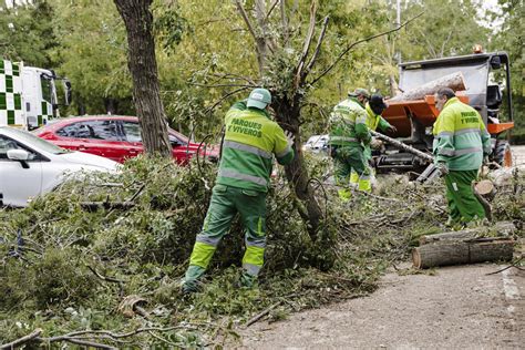 Ciar N Dalla Gran Bretagna All Italia I Danni Della Tempesta In