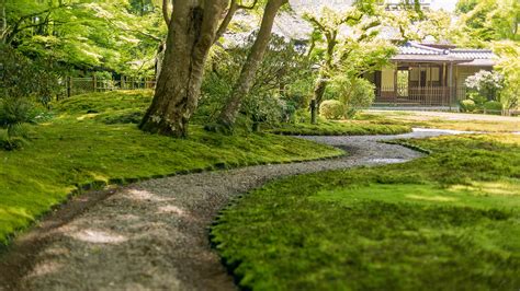 Moss Garden A Guide To Growing Moss In Your Garden Homes Gardens