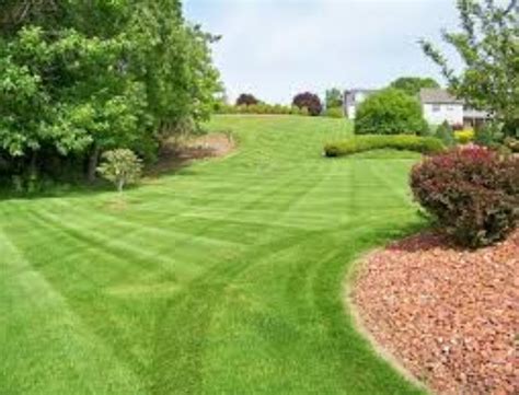 Lawn Care Landscape Design Lawn Care Specialists Fayetteville Ga