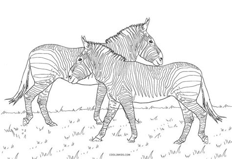 Free Printable Zebra Coloring Pages For Kids