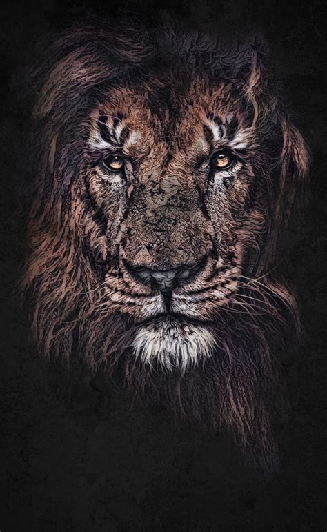 Panthera Leo Leo 3