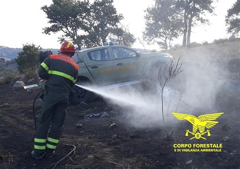 Sardegna In Fiamme Incendi Oggi Elicotteri In Azione