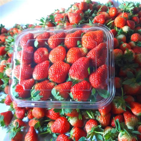 Order Online Strawberry Fresh Premium Ciwidey PaxelMarket