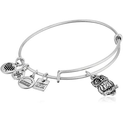 Alex And Ani Women S Charity By Design Owl Charm Bangle Bracelet Raf