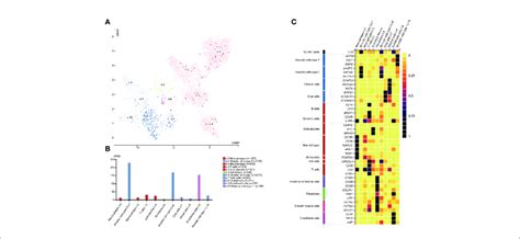 | TTN mRNA expression and other related cell type markers in different... | Download Scientific ...