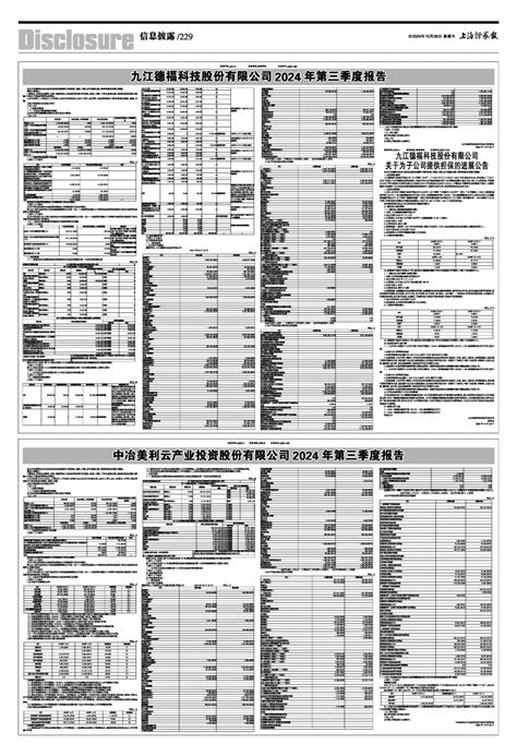 九江德福科技股份有限公司2024年第三季度报告上海证券报