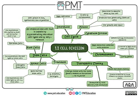 Cell Reproduction Concept Map