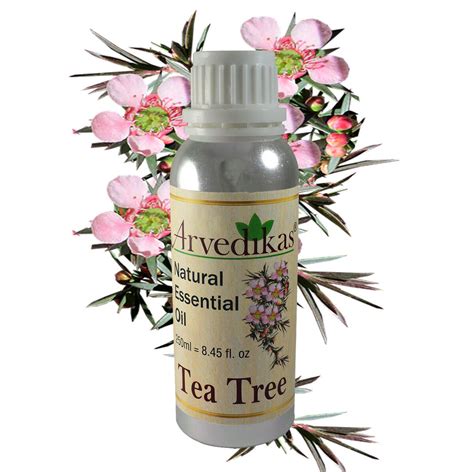 Tea Tree Oil 100 Natural Pure Essential Oil 30 Ml 500ml Arvedikas