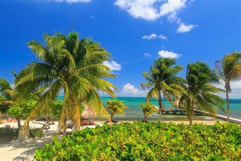 St. George's Caye Resort - UPDATED 2018 Prices, Reviews & Photos (Belize/Belize Cayes) - TripAdvisor