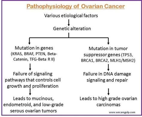 Ovarian Cancer Symptoms Diagnosis Management We Care