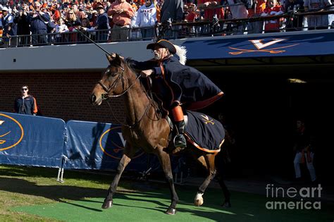 Virginia Cavaliers Mascot Photograph by Jason O Watson