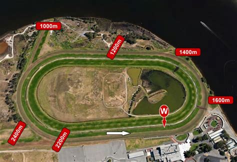 Belmont Racecourse Form Guide Track Map Tips And Results