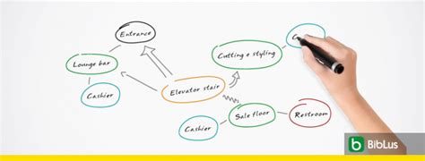 Architectural Bubble Diagram: what is it and why is it important? - BibLus