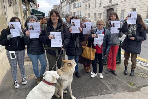 Grands Cerfs Tués Disparition De Ling Diane Blocages Lactu En