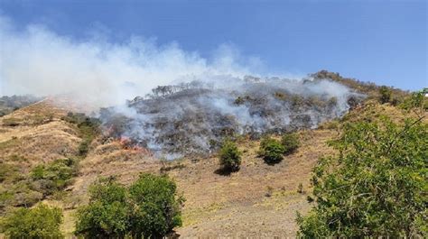 Noticias Santander Incendios Forestales Por Temporada Seca 2022