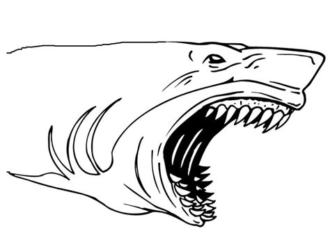 Coloriage Un Requin Marteau - télécharger et imprimer gratuit sur ColoriageEnfant.Com