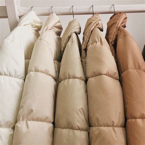 Beige Aesthetic Beige Aesthetic Brown Aesthetic Cream Aesthetic