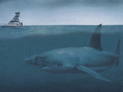 Megalodon Facts, Habitat, Diet, Fossils, Pictures