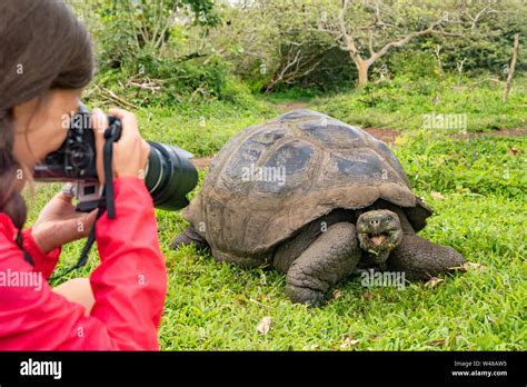 Wildlife Photographer And Tourist On Galapagos Islands Photographing