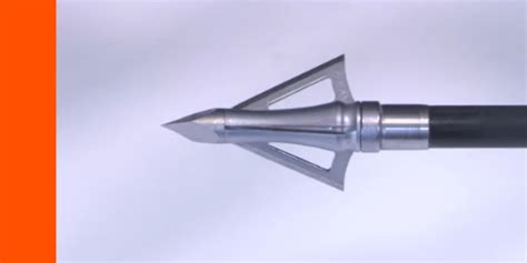 Bolt Cutter broadheads review [in-depth testing!] | N1 Outdoors