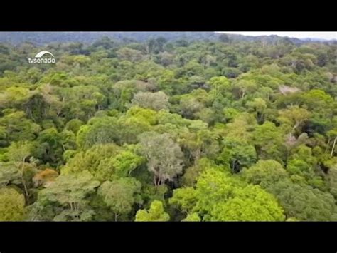 Nova Pol Tica Ambiental Refor A Combate Ao Desmatamento E Garimpo