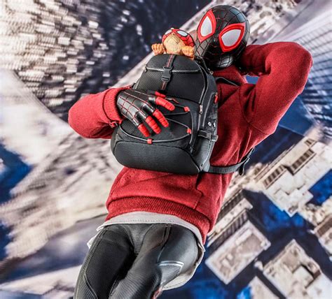 Miles Morales Bodega Cat Suit Sixth Scale Figure By Hot Toys Egyfigures
