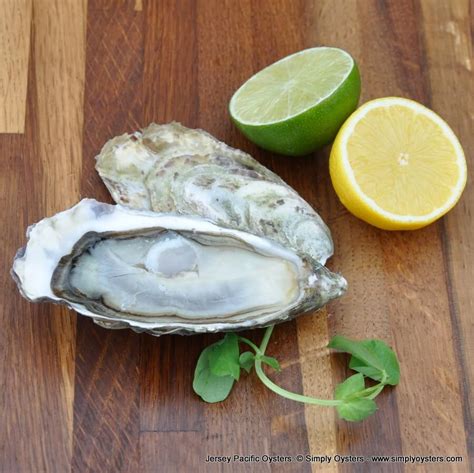 Jersey Oysters Buy Online Uk Delivery Simply Oysters