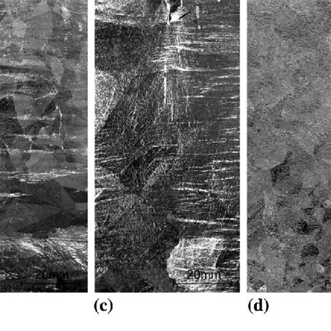 Photographs of external appearance of the zinc coating obtained in: (a ...