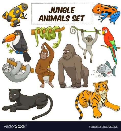 Jungle Safari Cartoon Animals